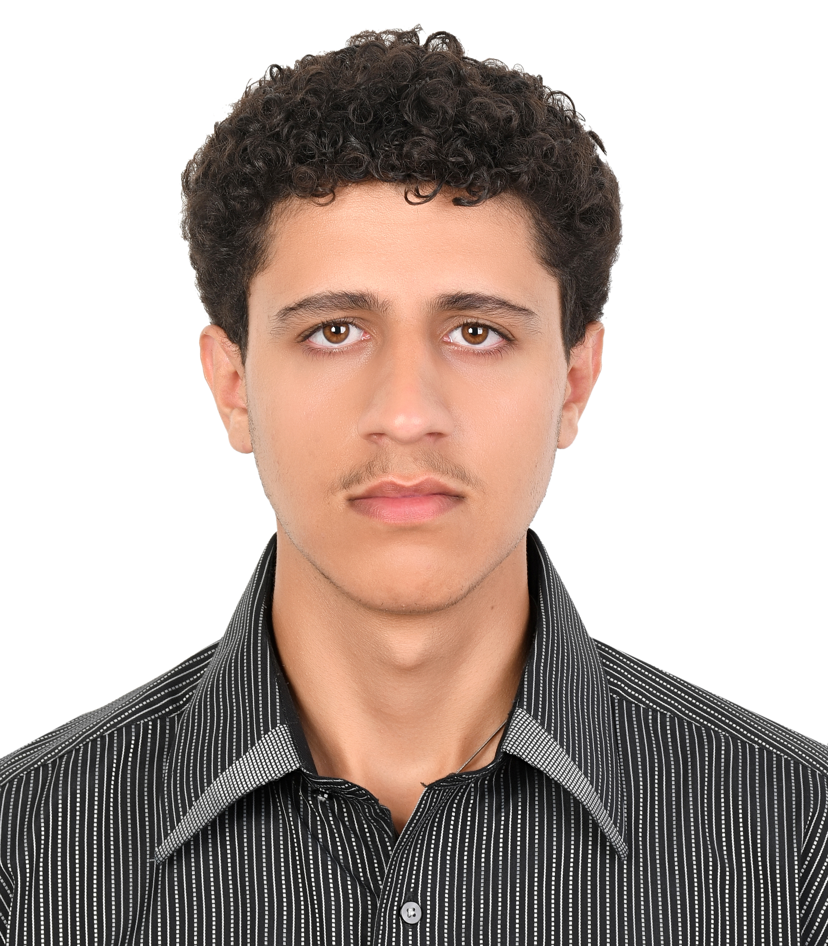 Erfan Mohammadi